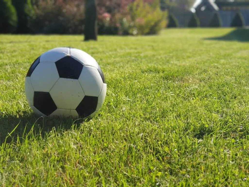 Photo Soccer ball