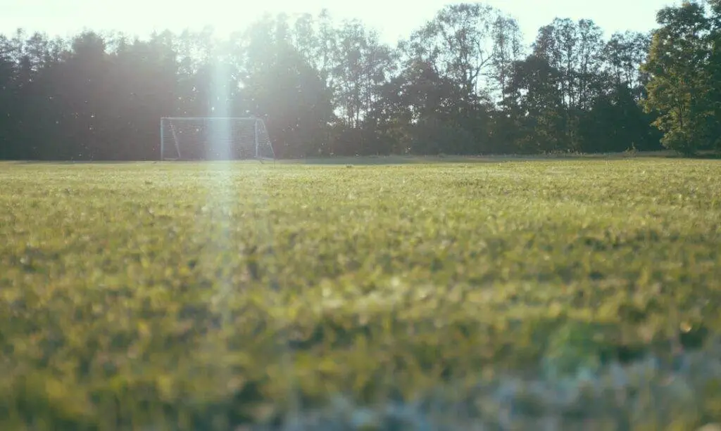 Photo Soccer field